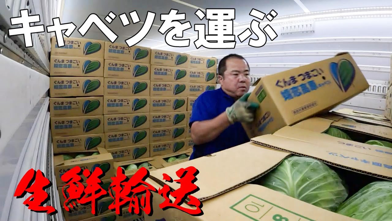 青果物の長距離輸送！つまごいからキャベツ満載でふるさと熊本へ
