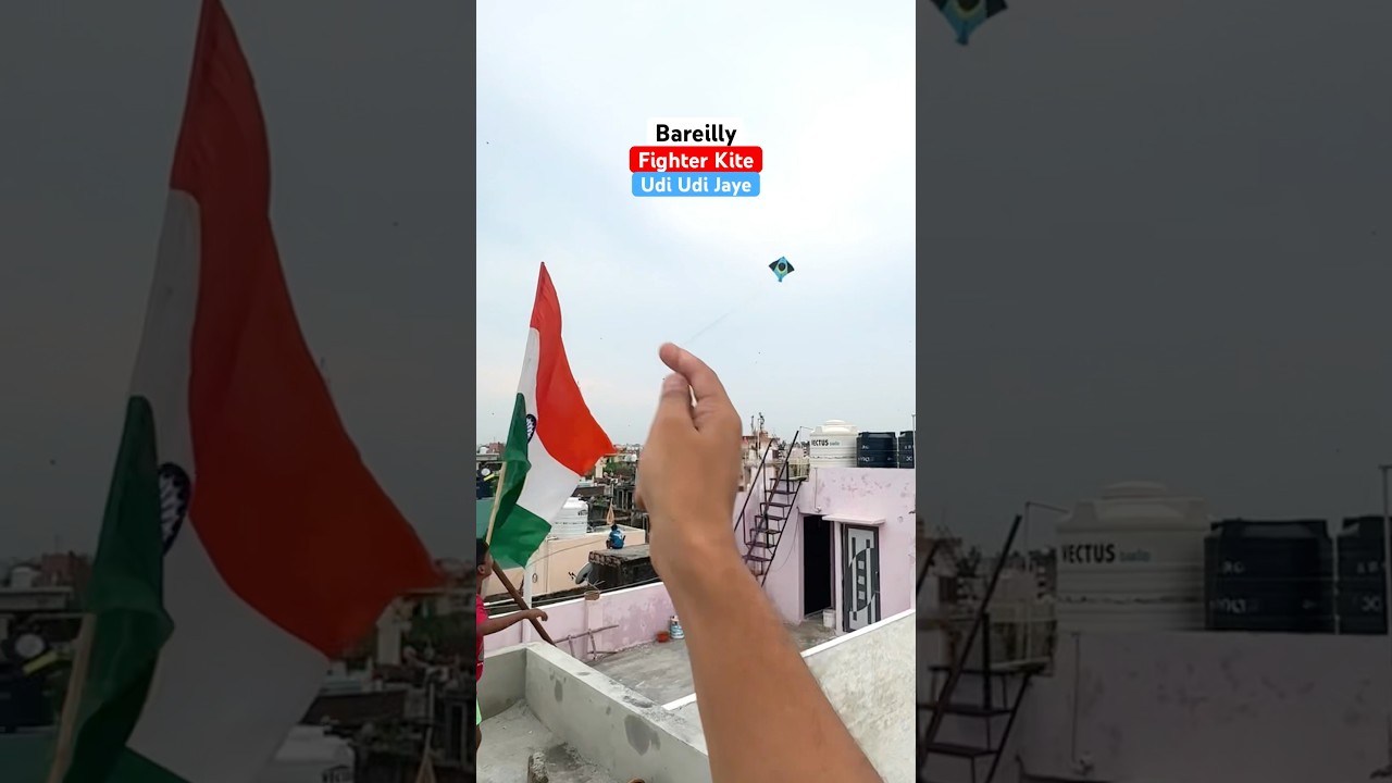 Kite Flying on 15 August Independence day | kite fighting | kites vlogs #shorts #kite #shortsfeed
