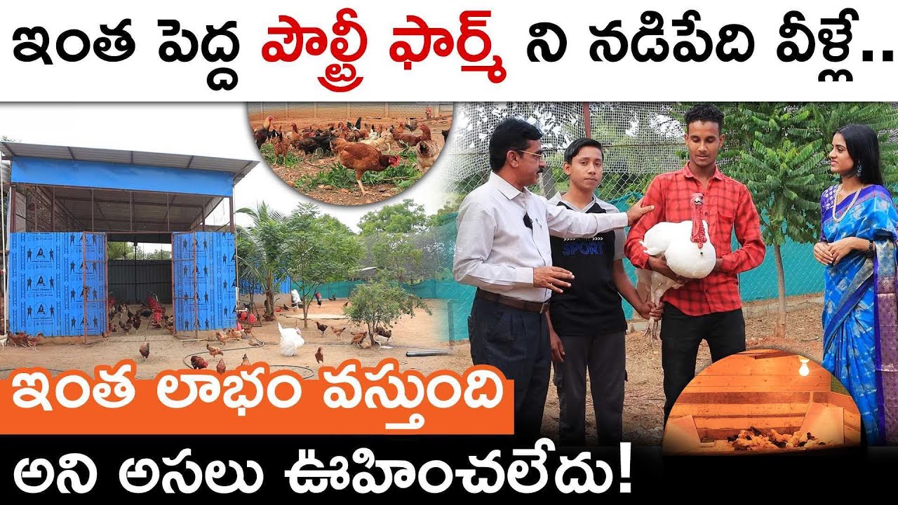 Large Scale Poultry Farm Management Telugu Profitable Business