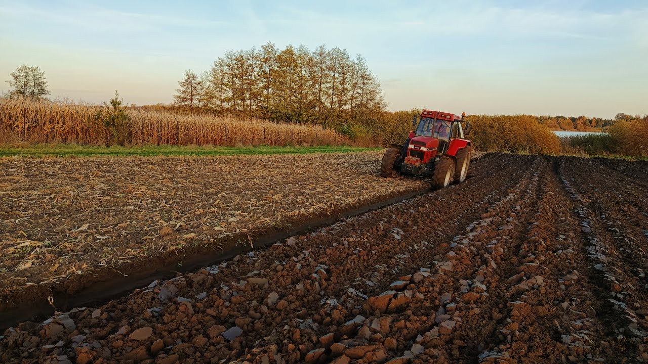 🇵🇱💪Oporowa orka🚜🤛