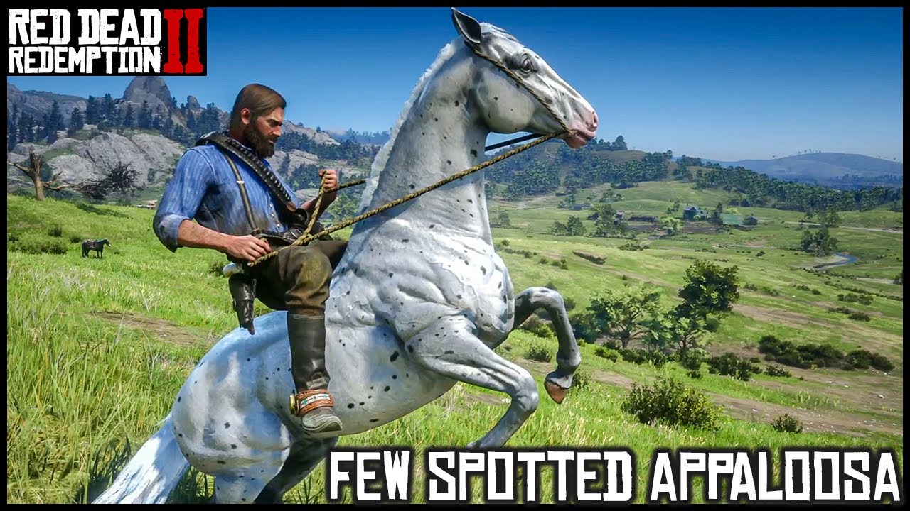 FEW SPOTTED APPALOOSA - Red Dead Redemption 2 Story Mode