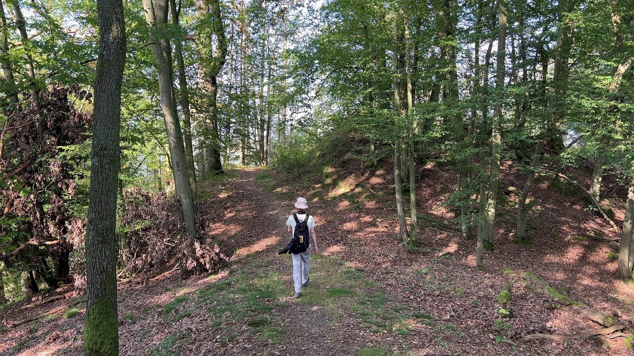 A Silent Hike through Villages and Forests in Westerwald, Germay #silenthiking #ambientmusic #hiking