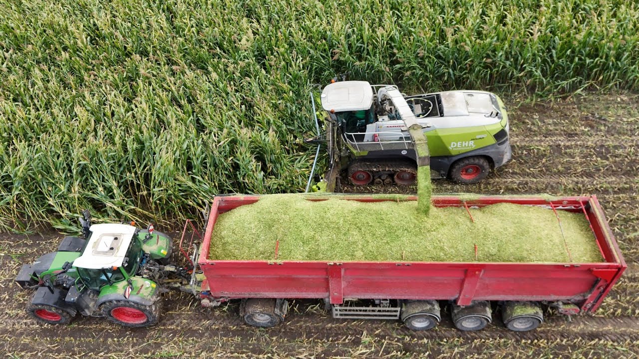 CLAAS JAGUAR 990TT am Mais häckseln / Abfahrer FENDT 722 / DEHR AGRARSERVICE / 4K