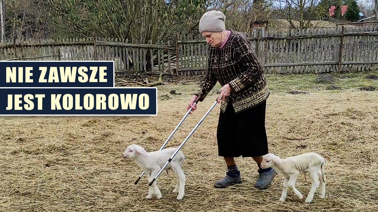 Nie zawsze jest kolorowo