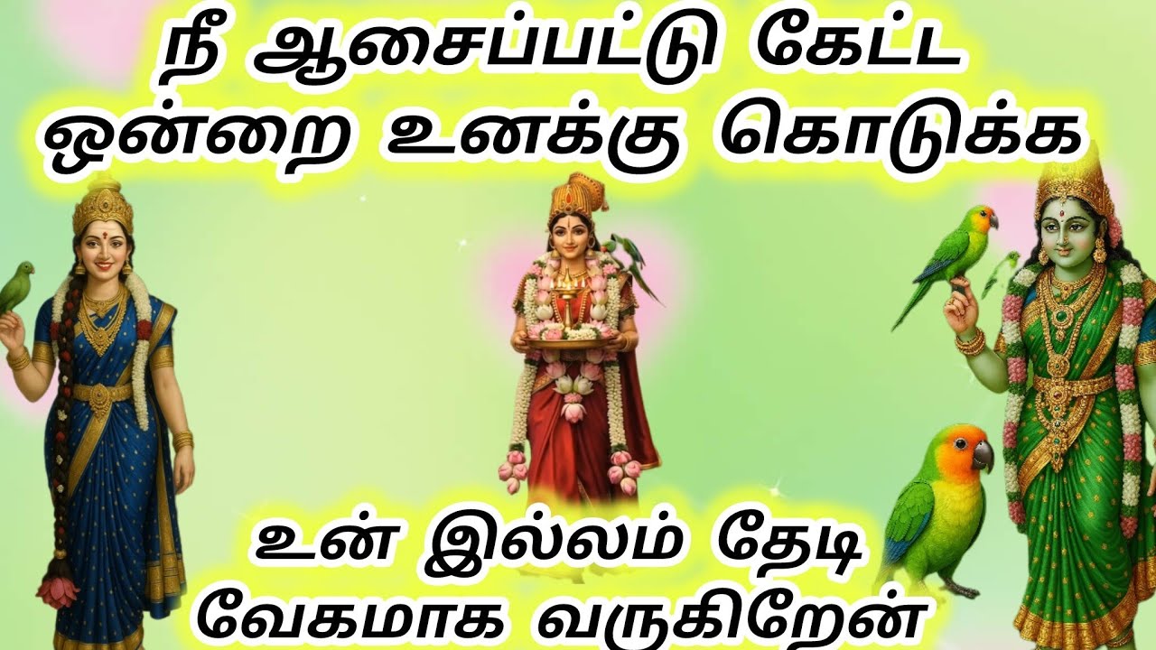 உன் இல்லம் தேடி வேகமாக வருகிறேன் நீ ஆசைப்பட்டு கேட்ட ஒன்றை உனக்கு கொடுக்க #meenakshi #அம்மன் 