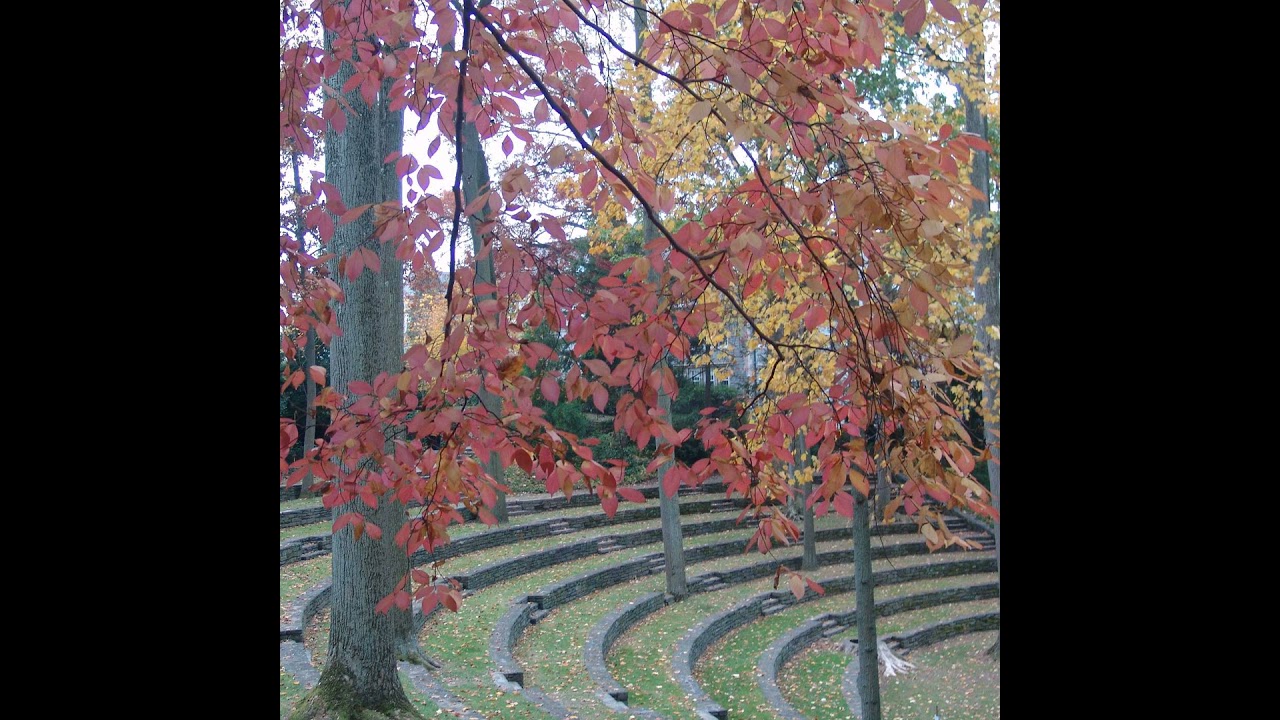 Season 3 Episode 7 with Jeff Jabco, Executive Director of Scott Arboretum and Gardens