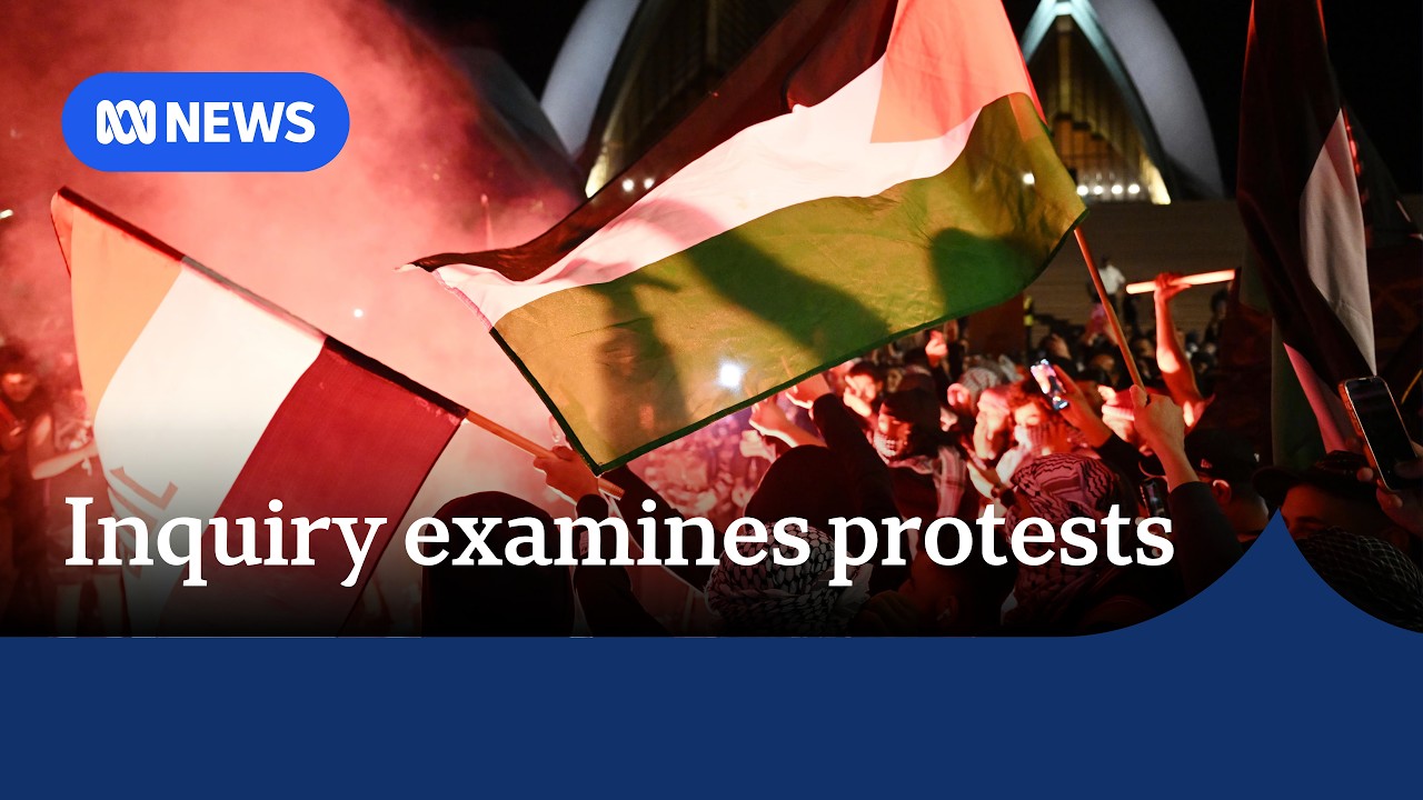 Antisemitism inquiry told actions of pro-Palestinian protesters were 'appalling' | ABC NEWS