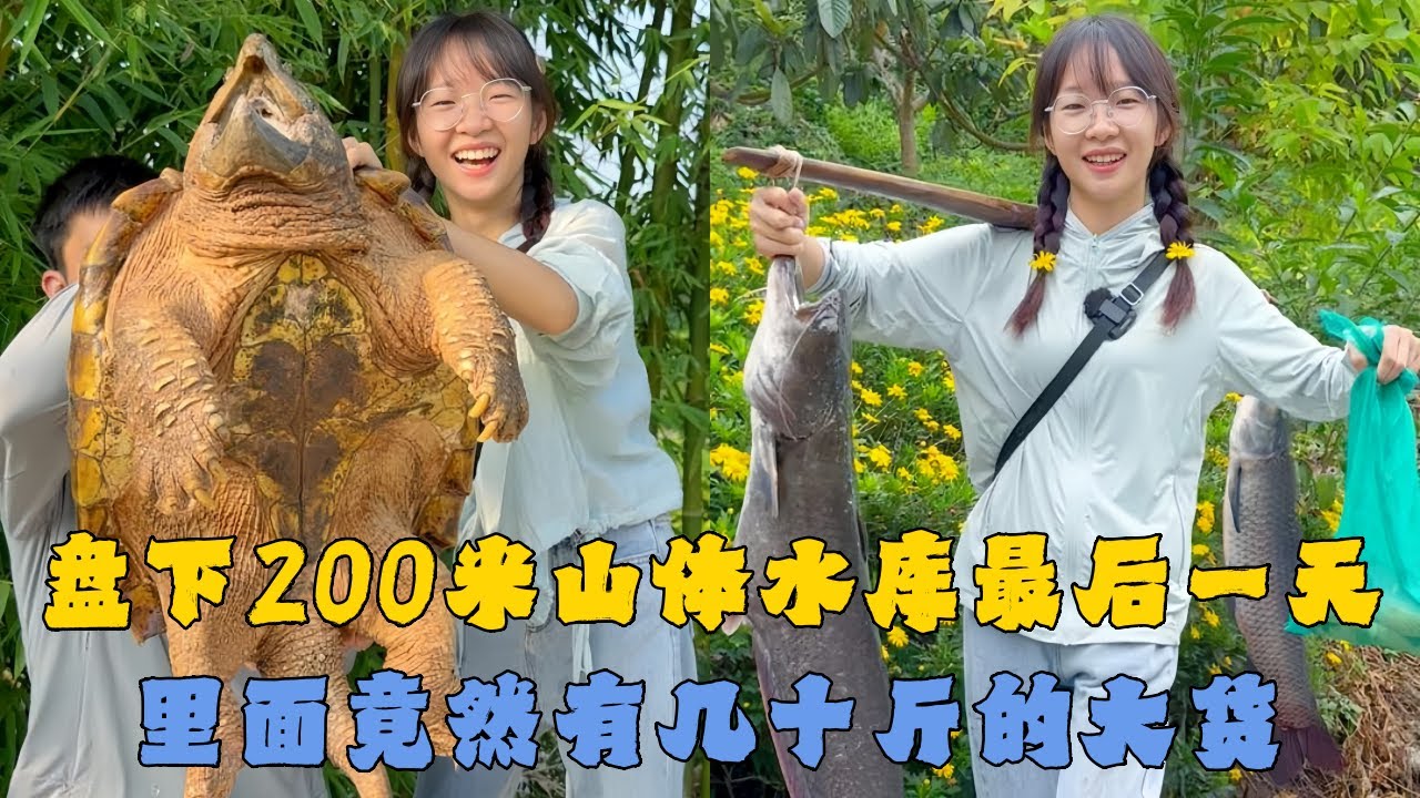 幺妹盘下200米长山体水库的最后一天，里面竟然有几十斤的大货！#户外抓鱼 #户外捕鱼 #幺妹vlog #乡村生活 #农村生活