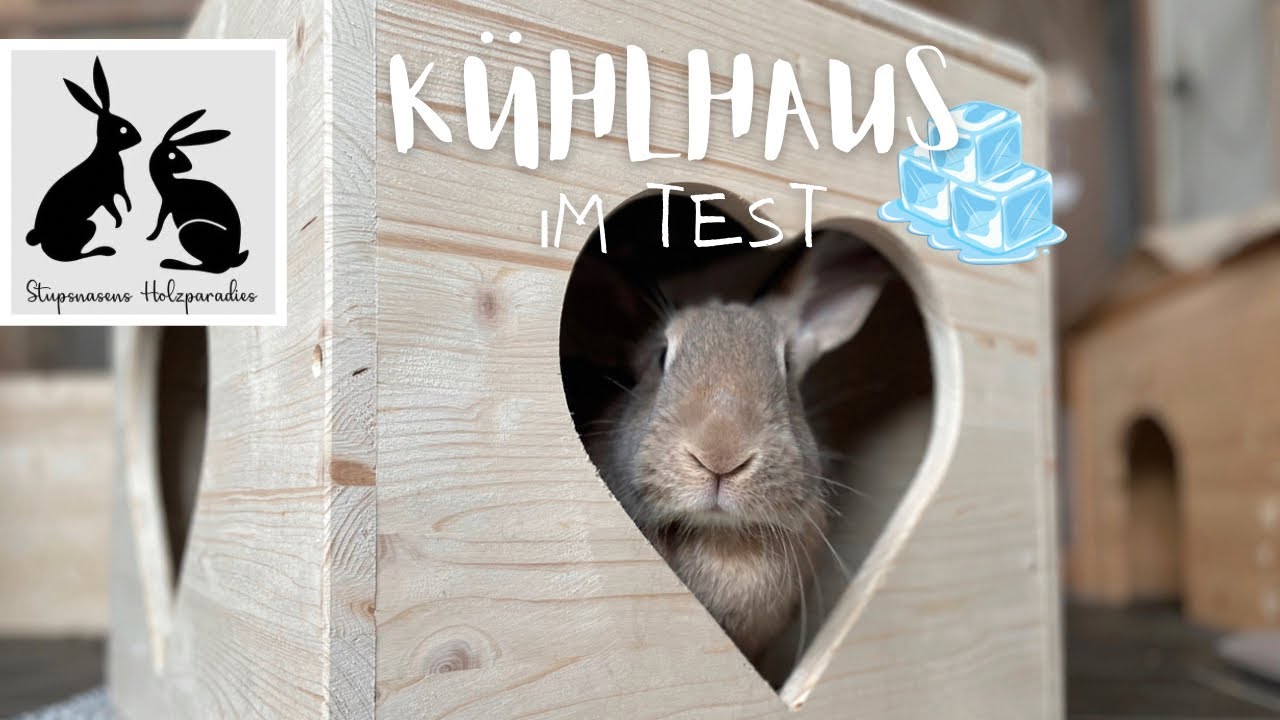 Die Stupsnasen testen - KÜHLHAUS für Kaninchen | Stupsnasenbande