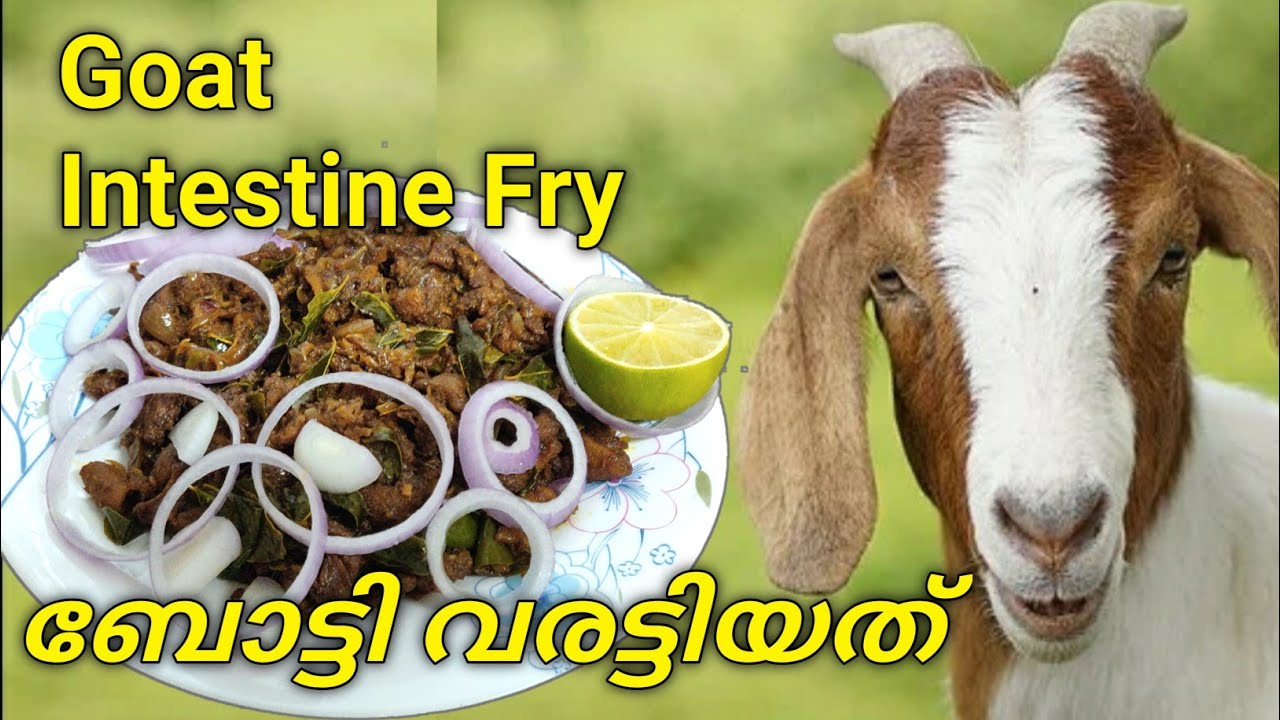 goat intestine recipe/mutton boti recipe/boti fry/ബോട്ടി വരട്ടിയത്.