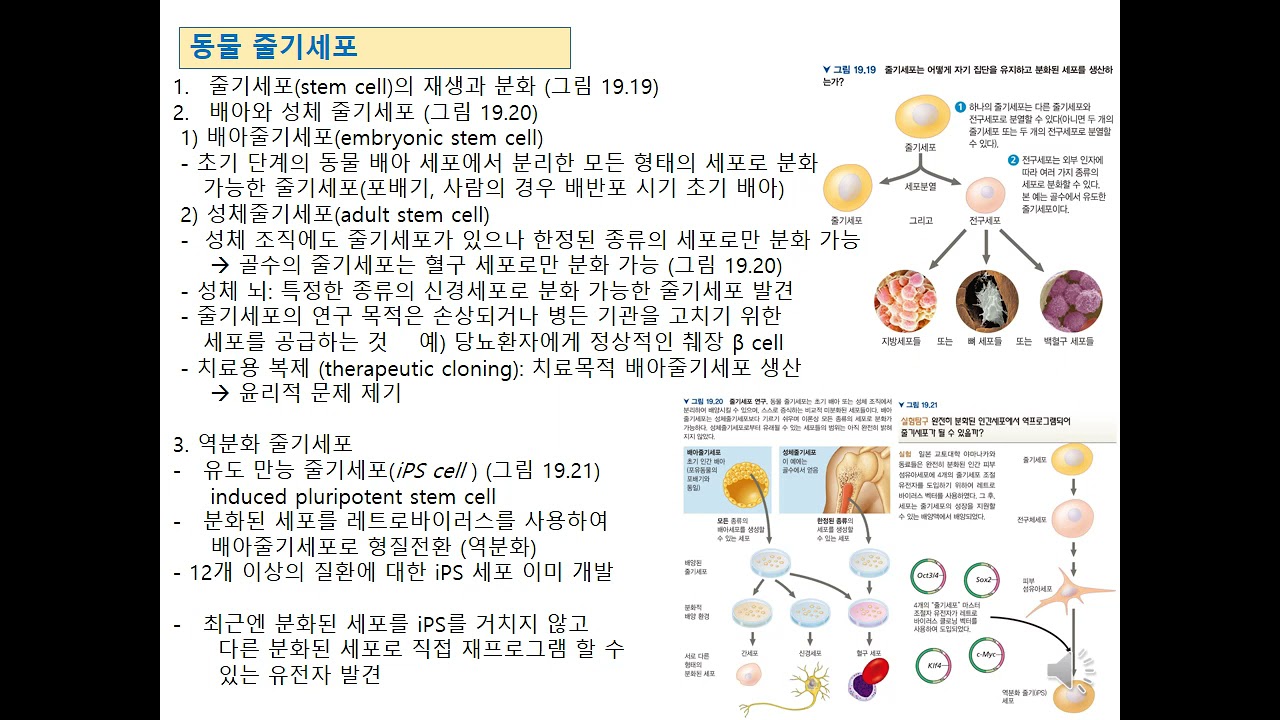 일반 생물학 19장 5