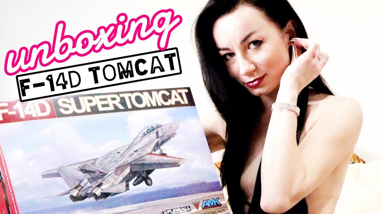 Grumman F 14D Tomcat 1/48 scale model aircraft