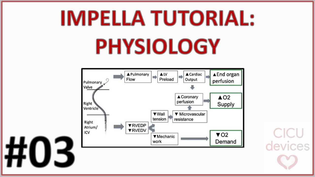 ⚙️ IMPELLA PHYSIOLOGY: IMPACT ON LEFT AND RIGHT VENTRICLE (IMPELLA GUIDE 003)