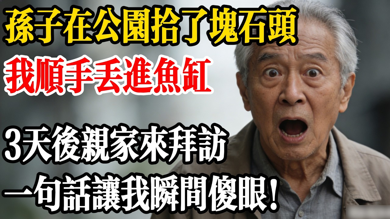 孫子在公園拾了塊石頭，我順手丟進魚缸，3天後親家來拜訪，一句話讓我瞬間傻眼！#民間故事 #舊巷故事