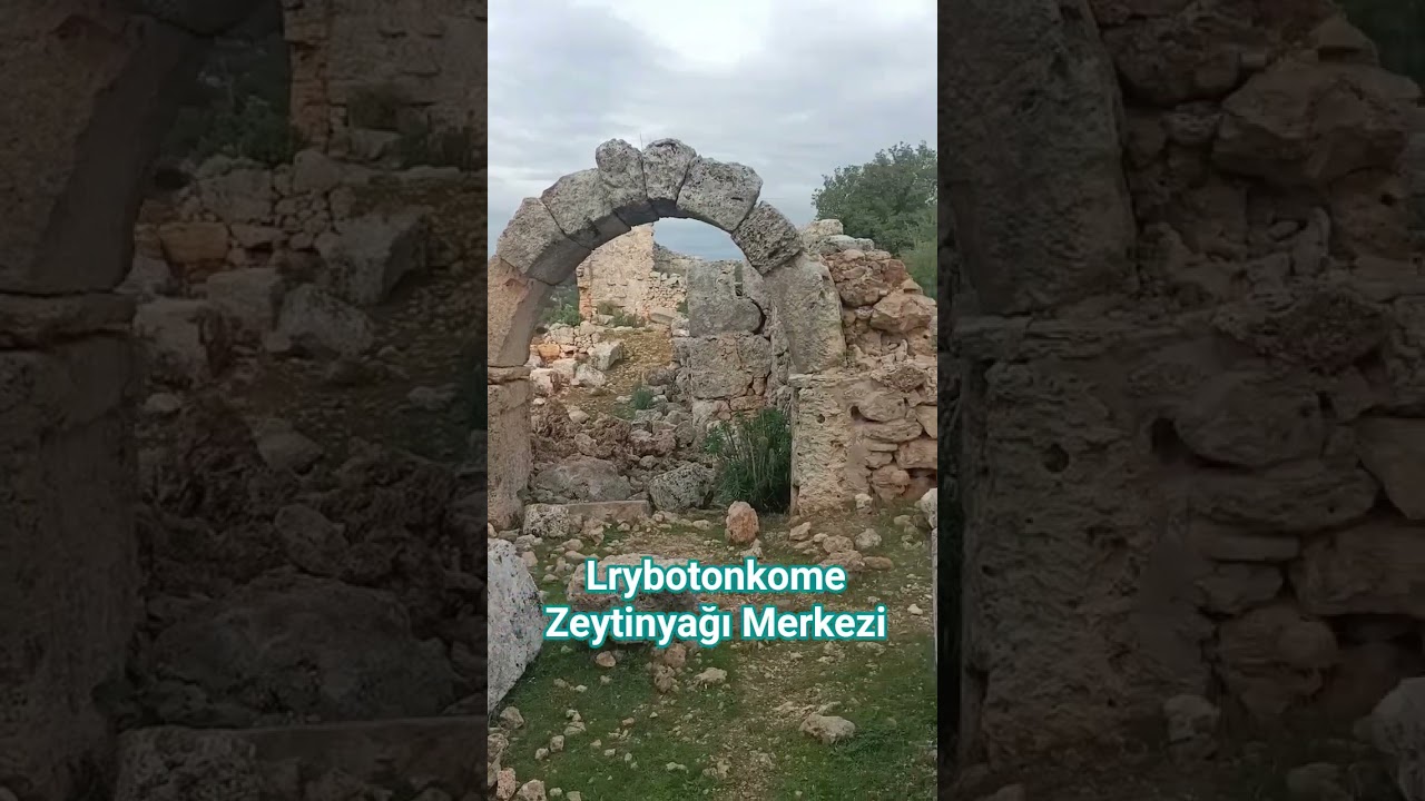 Tarih 