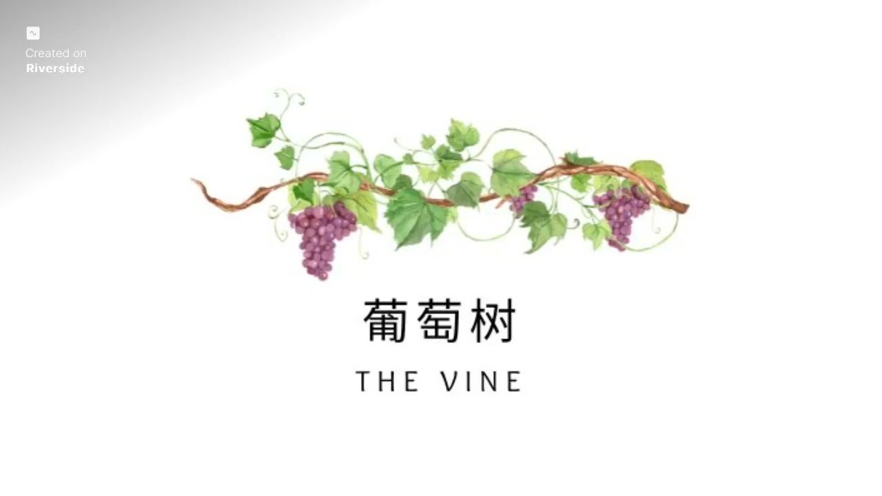葡萄树博客简介