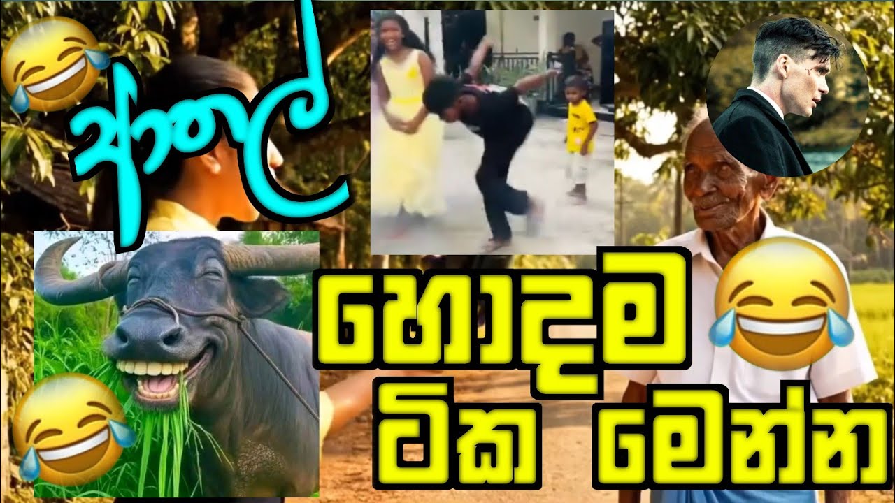 හොදම ආතල් ටික මෙන්න😂😂😂 #funny #sinhalacomedy #sinhalaai 