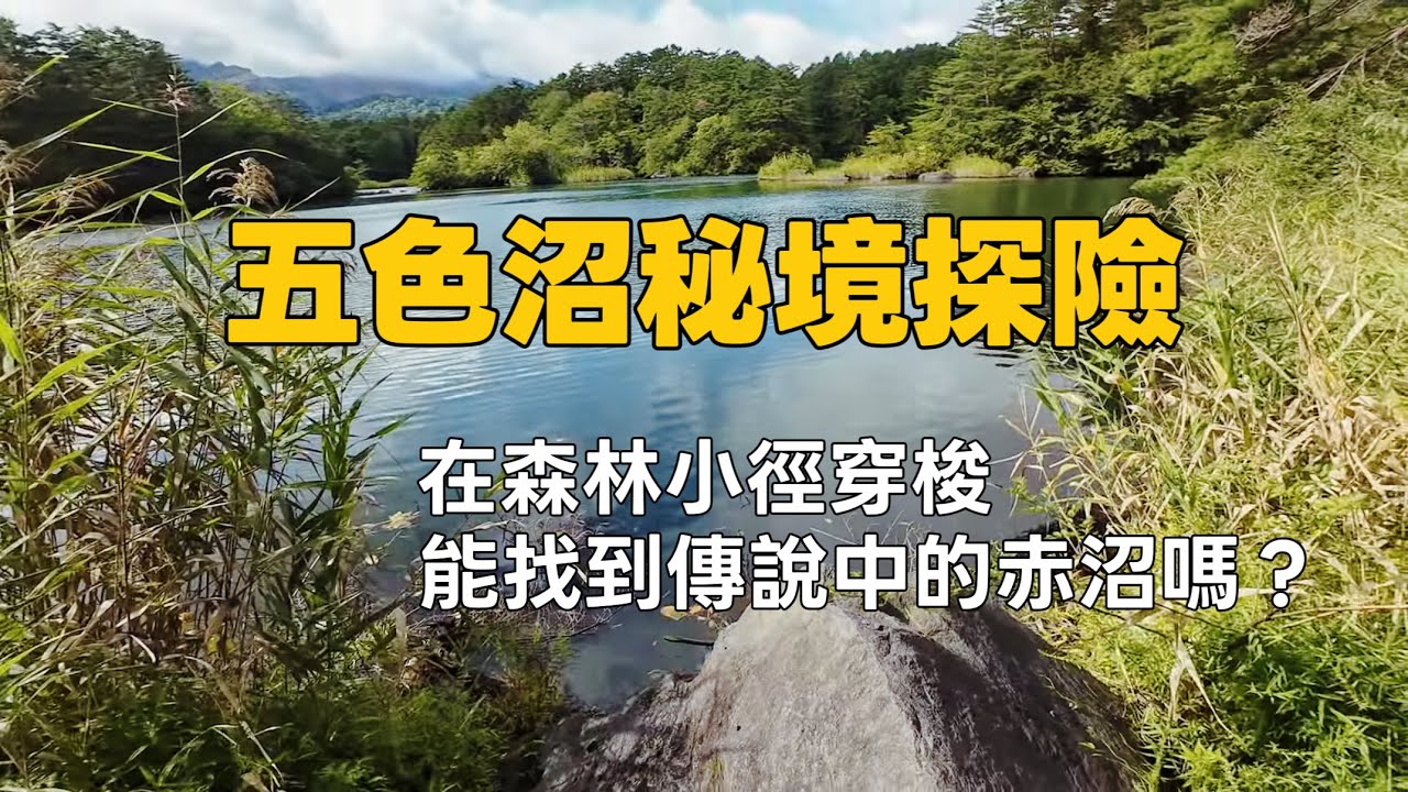 東北07 福島五色沼森林步道，超原始就像走在森林裡｜光線決定湖色的奇幻自然景觀