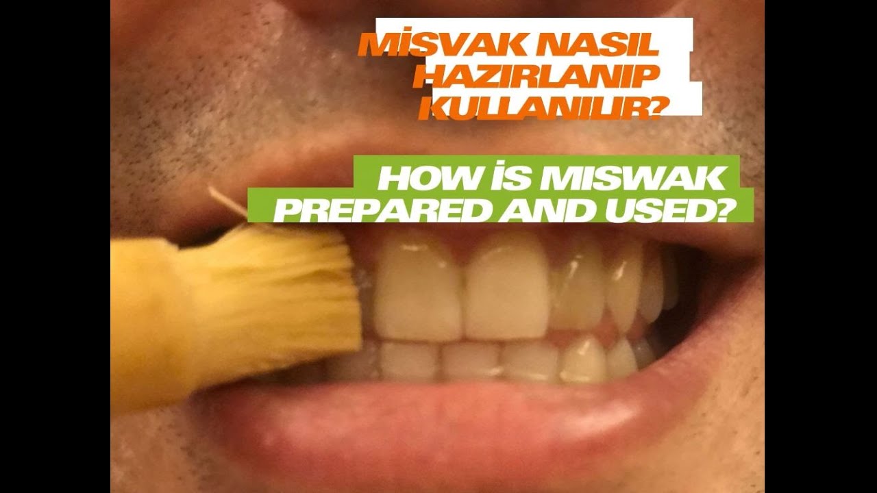 Doğal Diş Fırçası Misvak  Nasıl Kullanılır?  Bölüm 2 //How to Use Natural Toothbrush Miswak? Part 2