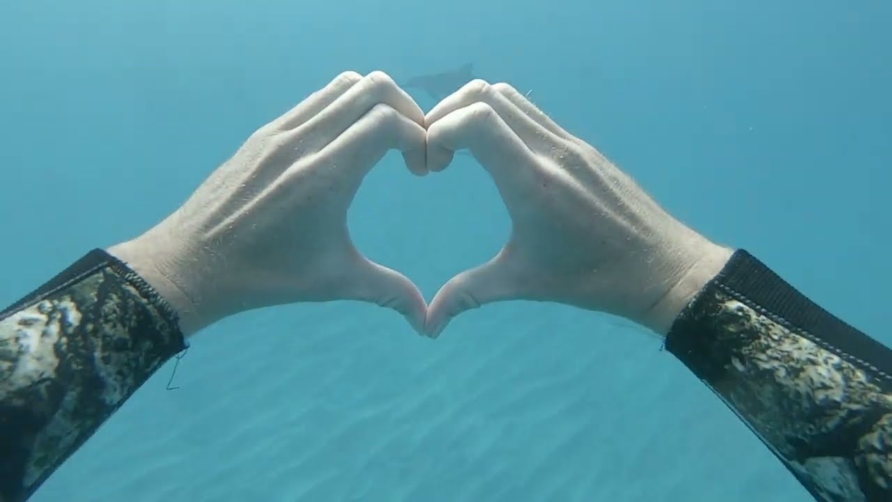 The most MAGICAL dolphin encounter! (Freediving Hawaii)