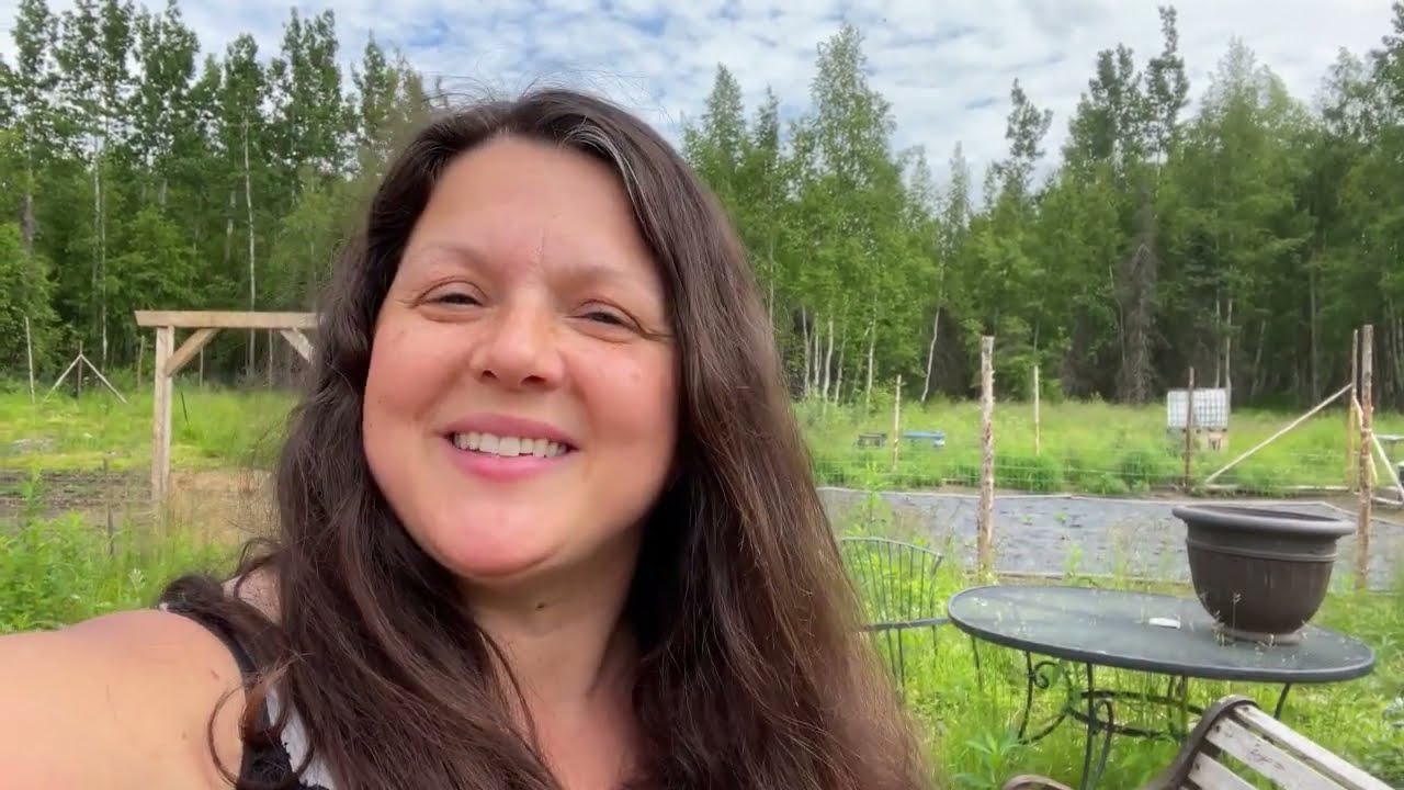 IBC TOTE CREATIVITY - DRIVING MISS DAISY - GOAT SHENANIGANS - LOTS OF FUN - HOMESTEADING ALASKA