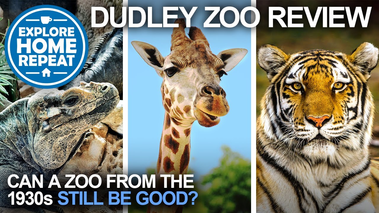 Dudley Zoo & Castle | Review & Full Tour | UK Travel Vlog