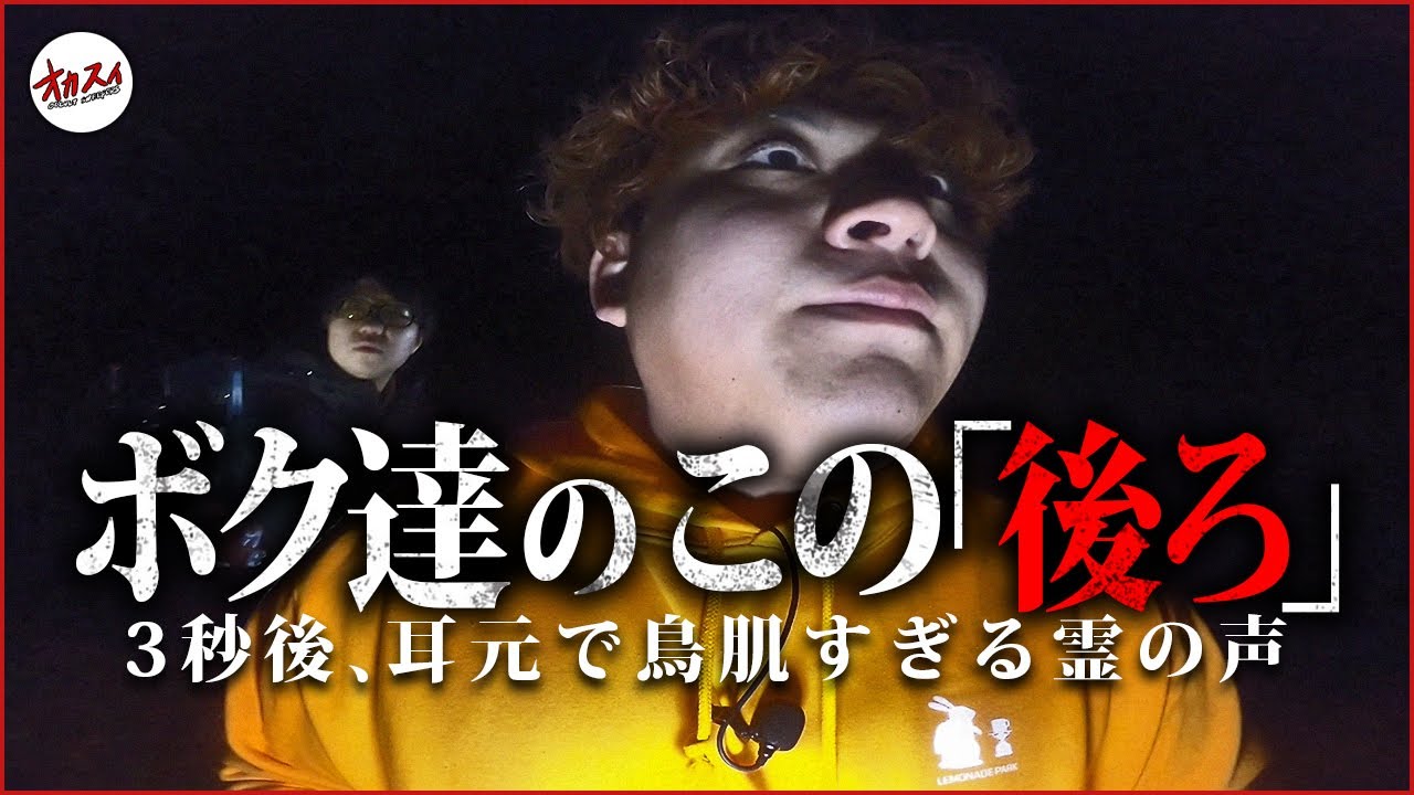 【心霊】視『幽霊を見た私は車に轢かれてしまった』　千葉県にある心霊スポットで僕たちを襲った悲劇がヤバすぎた【怖〜い話の場所に行ってみよう】【里見公園】
