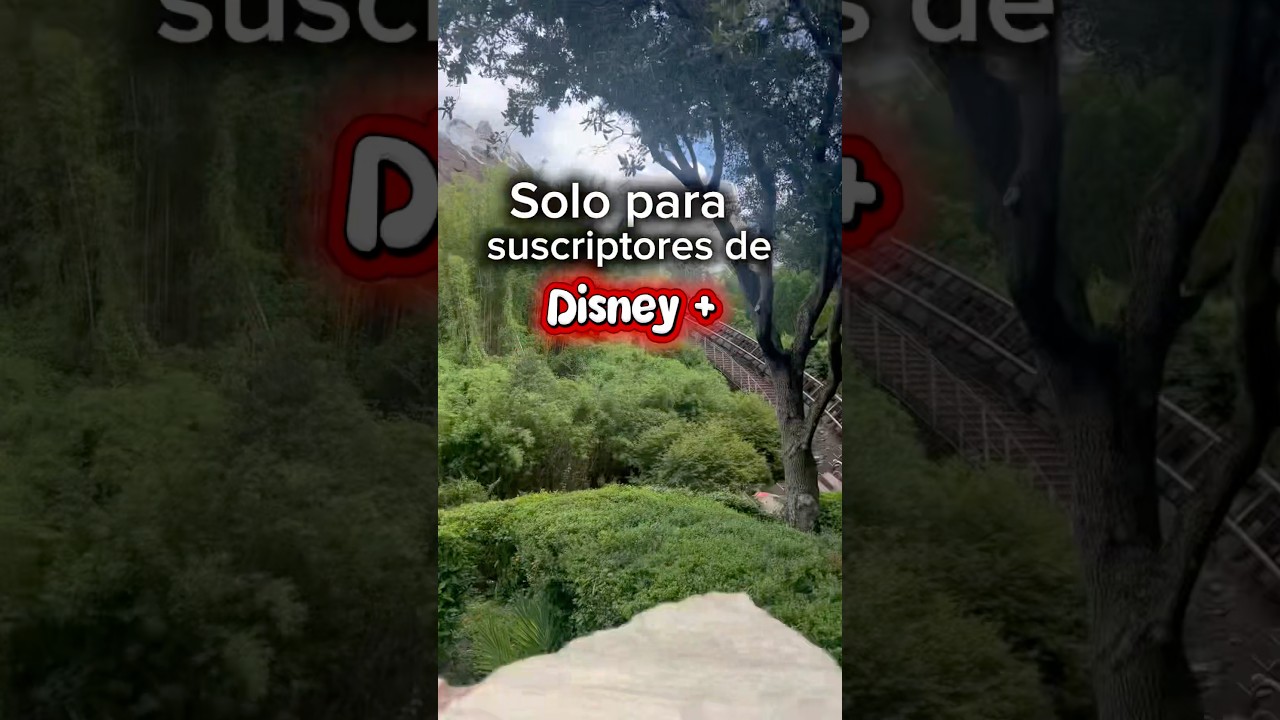 OFERTA EXCLUSIVA 