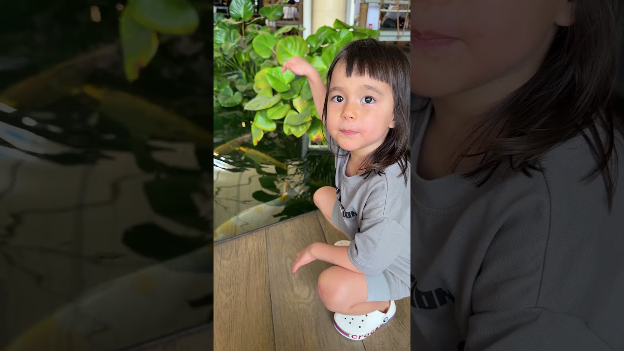 Twin Twin Узнают, как рыбы на самом деле дышат под водой 🐟🫧
