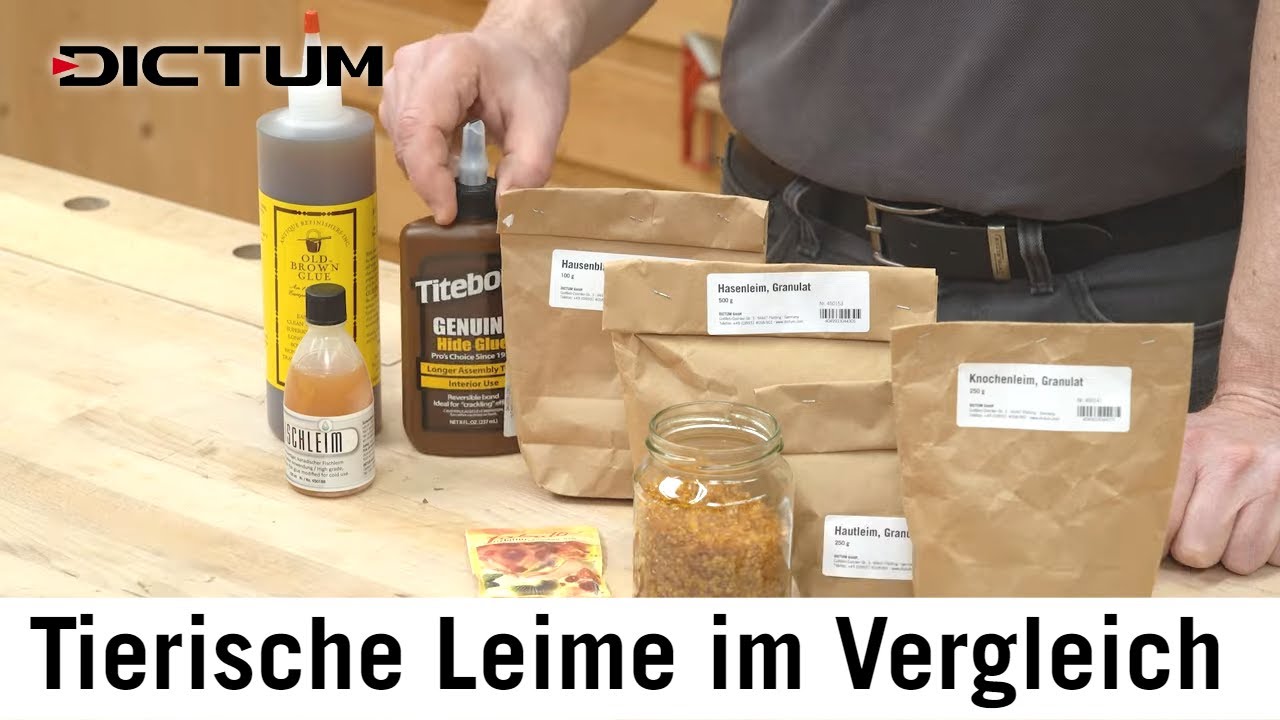 Tierische Leime - Knochenleim, Hautleim, Fischleim - flüssige Leime vs. Granulate #dictum