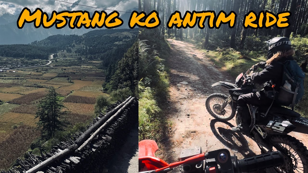 MUSTANG LAI BYE VANDAI PKR LAGEYOO…..