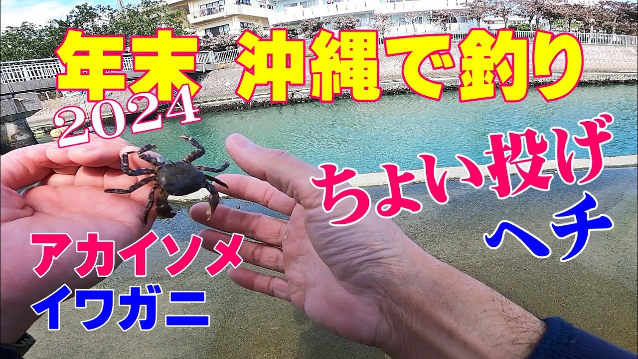沖縄での短時間釣行　熱田漁港で「ちょい投げ釣り」と河口で「ヘチ釣り」を楽しみました。アカイソメとイワガニを使っています。