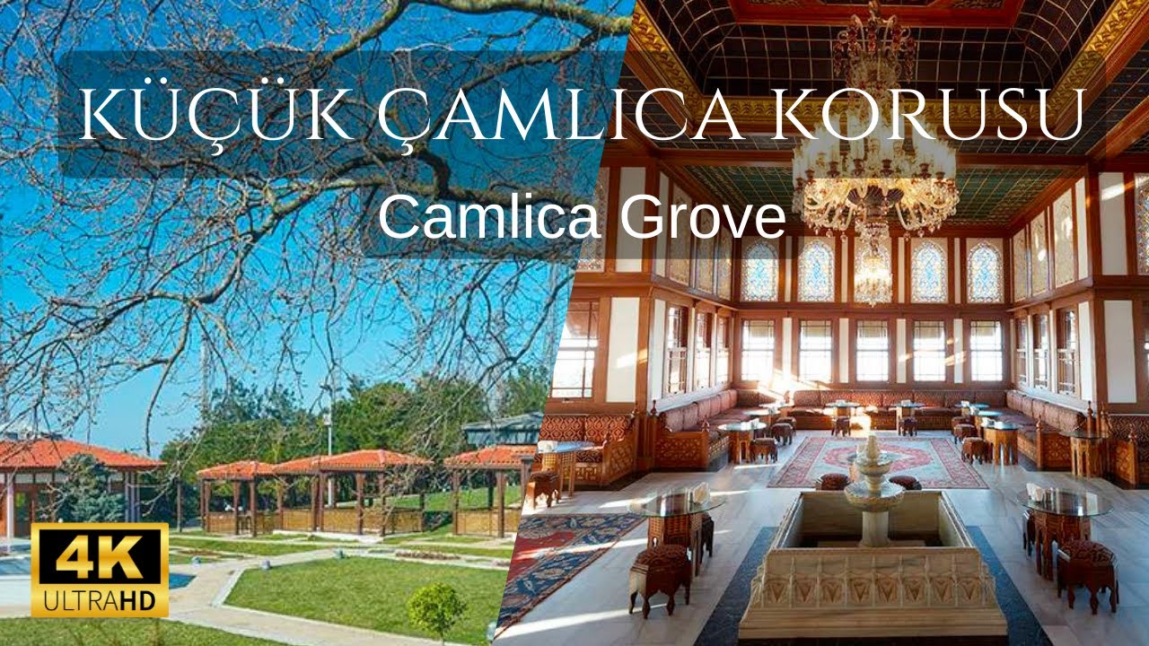 Küçük Çamlıca Korusu (Camlica Grove) Travel Tour [4K]