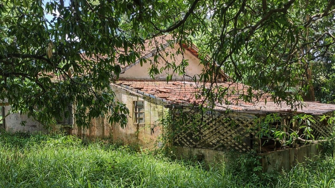 Filho Chega Na Casa do Pai e Encontra Apenas o Esqueleto do Idoso que Era Mulherengo