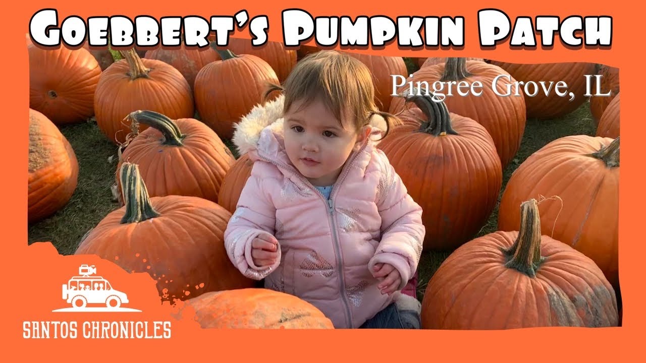 Goebbert's Pumpkin Patch Tour | Pingree Grove IL
