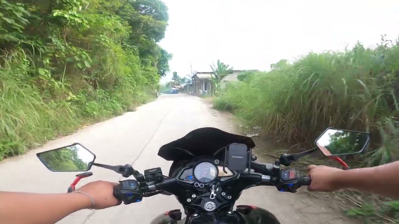 Throttle & Tranquility: A Mountain Road POV