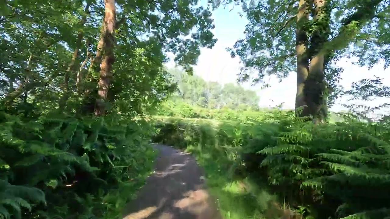 Fietsen in Winterswijk  Meddo-Langs Vragender- Corle