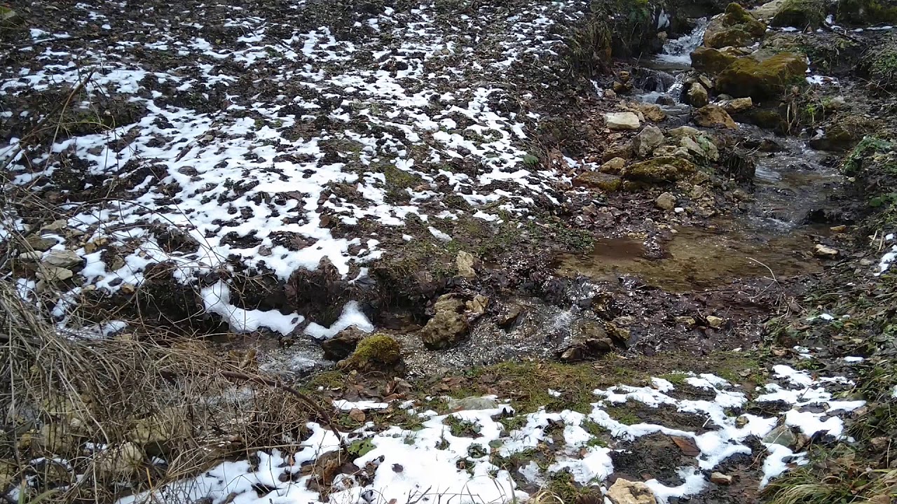 Terapiile sufletului. Terapia iertării.