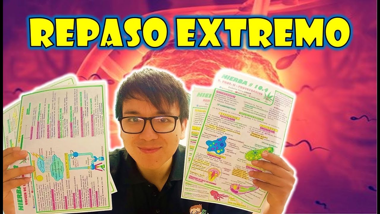 ASI SERAN LAS PREGUNTAS DE FISICA EN EL EXAMEN DE ADMISION🧐 💚😍💚