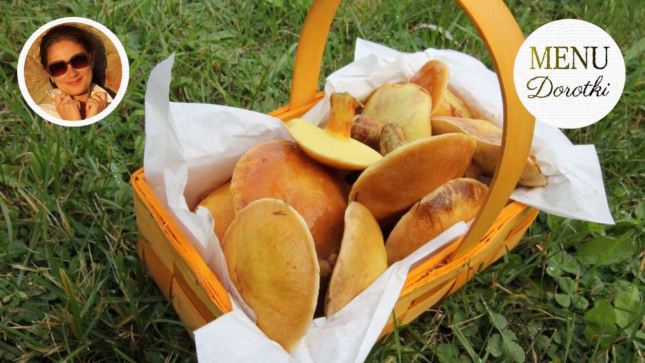 Maślaki duszone na masełku. Jak przygotować te delikatne grzyby? Sprawdzony przepis. MENU Dorotki.