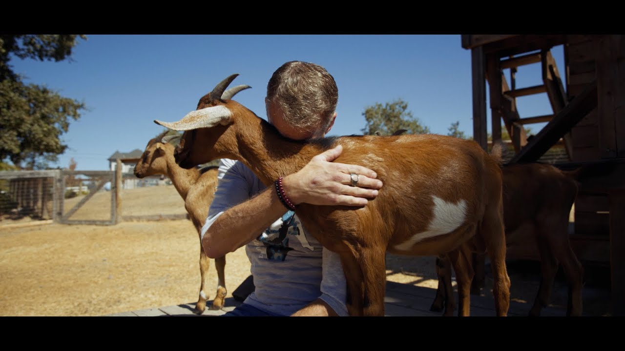 Goatlandia - A Vegan Farm Animal Sanctuary