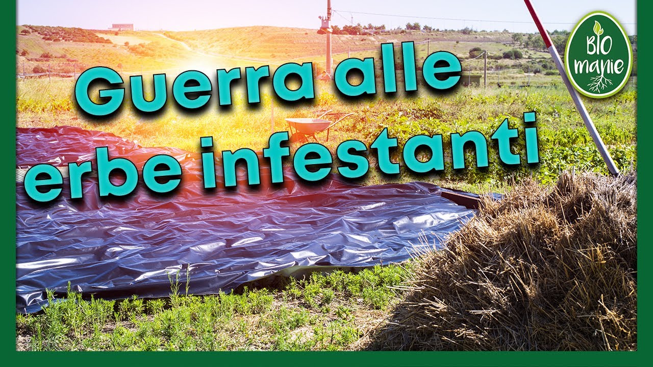 GUERRA alle INFESTANTI (preparazione)