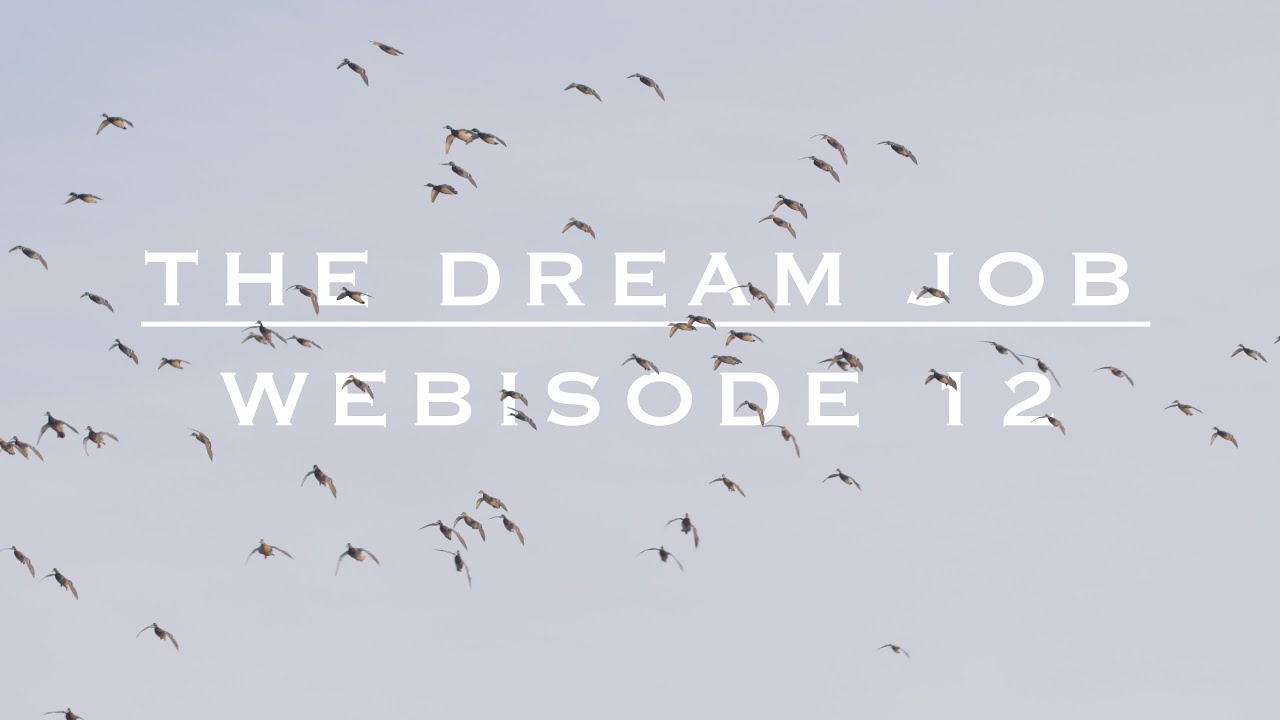 Giant Spins of Wheat Field Mallards in Kansas | The Dream Job: Webisode 12
