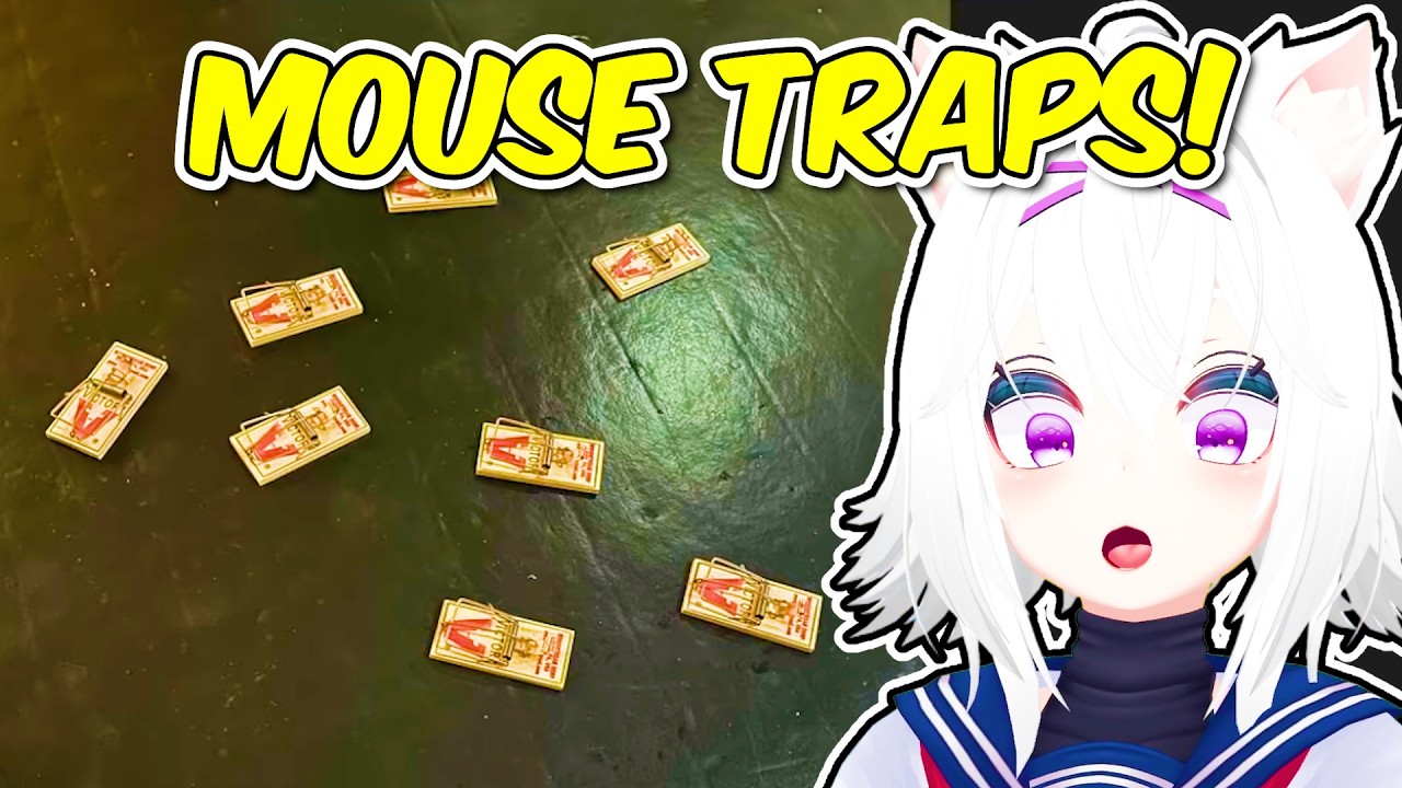 Filian sets 10 mouse traps in her own room
