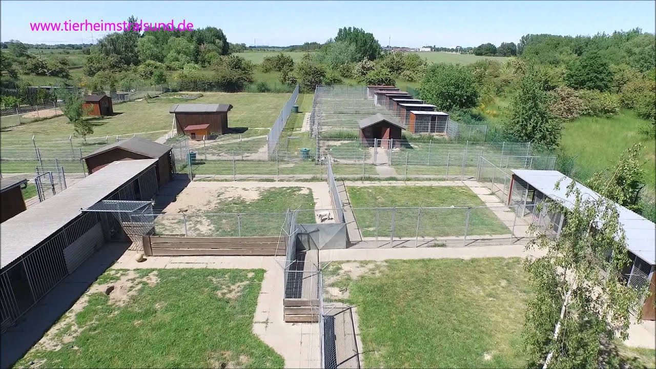 Unser Tierheim Stralsund