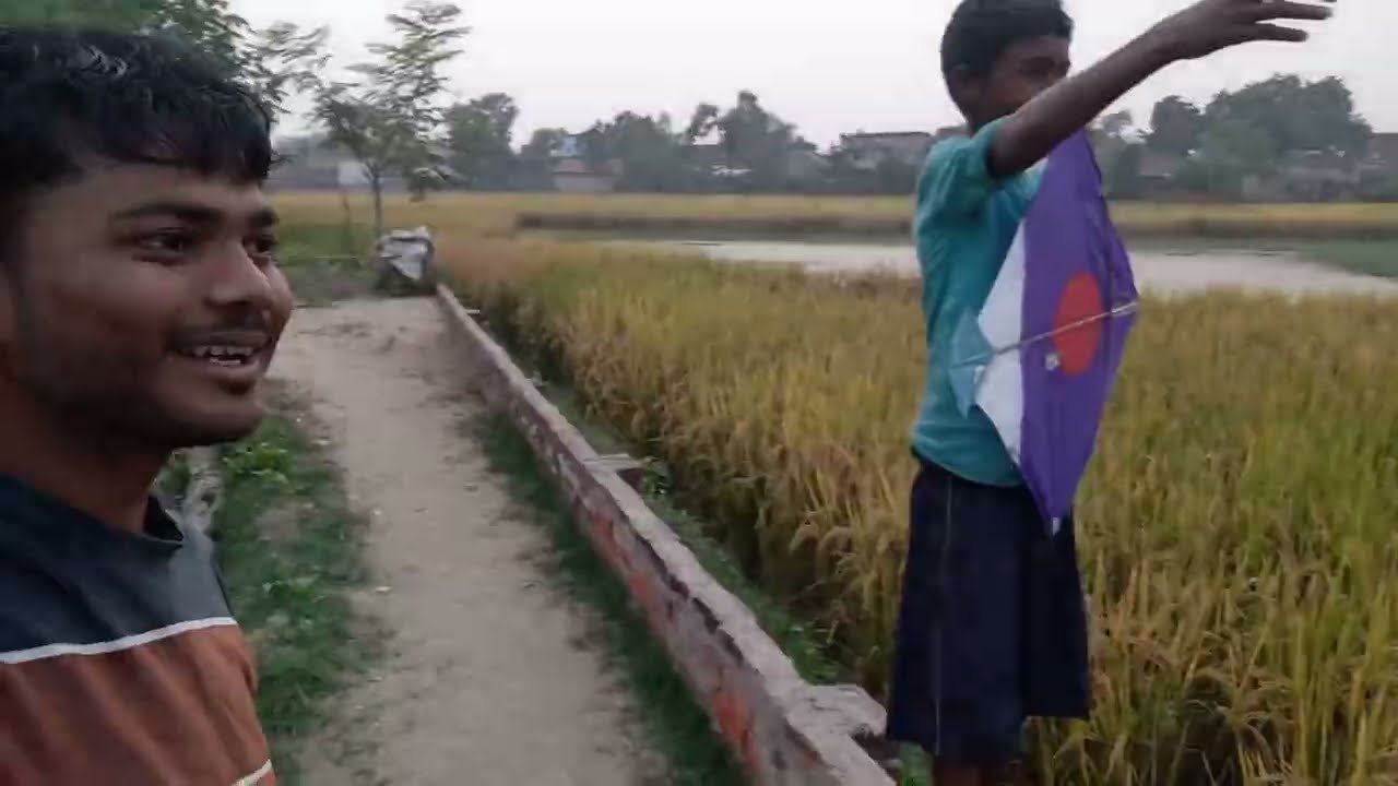 gav me masti karate hua : patang lutate hua