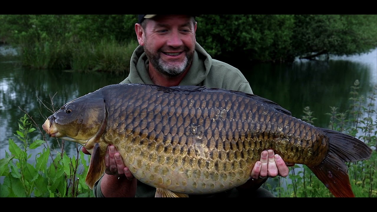 Season's Carping on the CO-DE