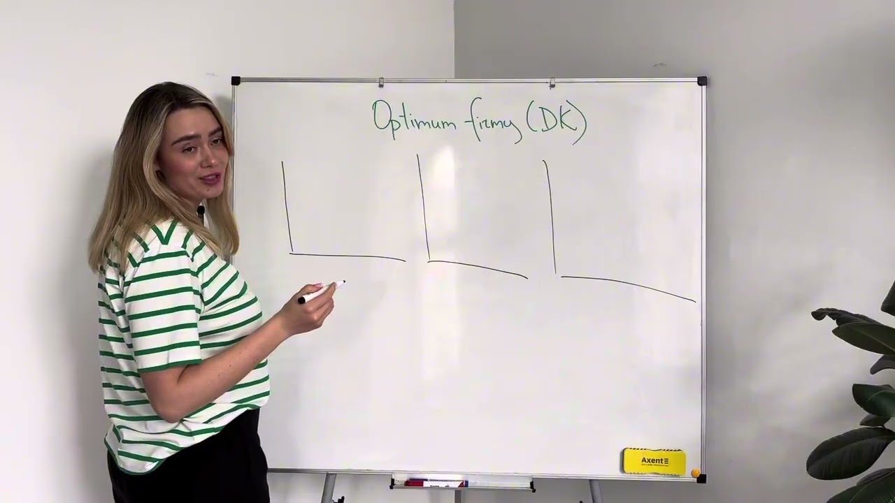 Mikroekonomie 1. Dokonalá konkurence. Макроэкономика 1. Идеальная конкуренция. VŠE