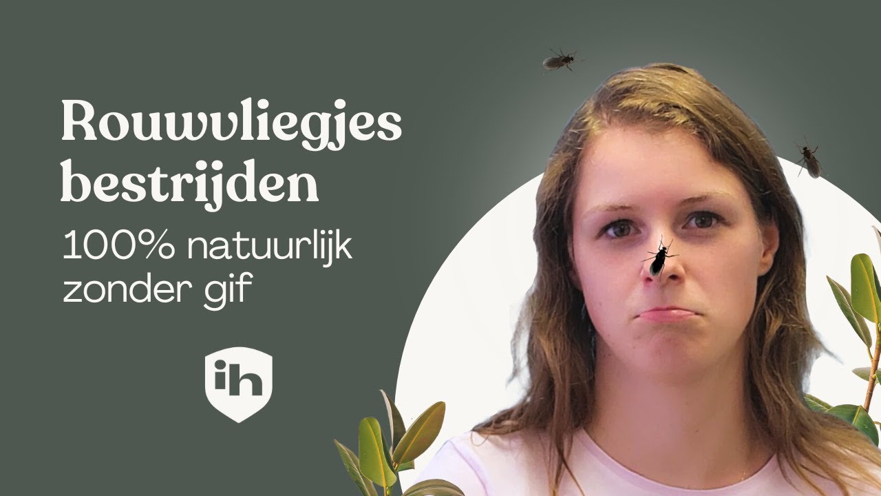 Rouwvliegjes bestrijden met aaltjes: 100% biologisch en zonder gif