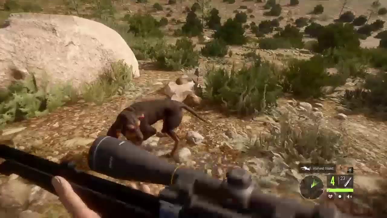 Thehunter Call of The Wild Cuatro Colinas Side Missions